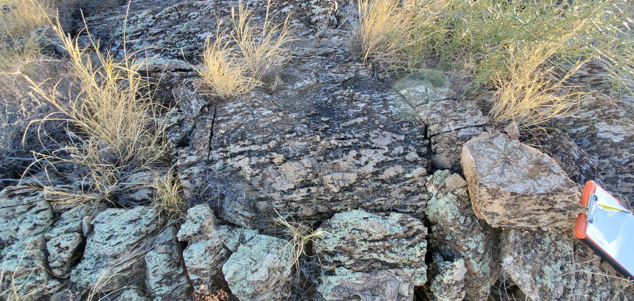 Freeport-McMoRan Sierrita Mine - Twin Butte Tower - Image 3