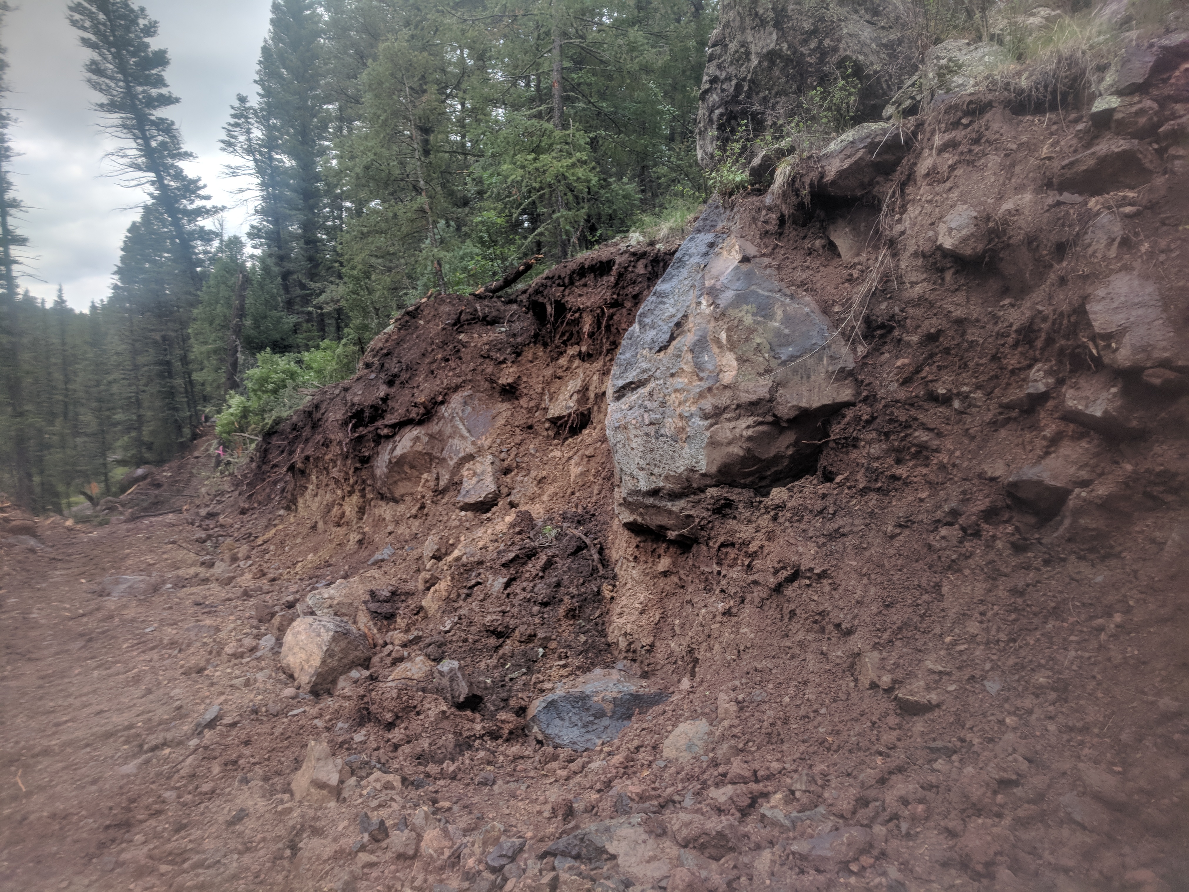 NM 434 Roadway - Image 5